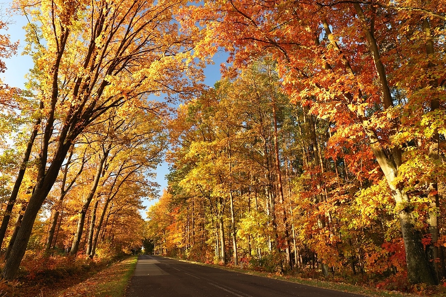 Visit These 5 Overlooks for Beautiful Fall Colors